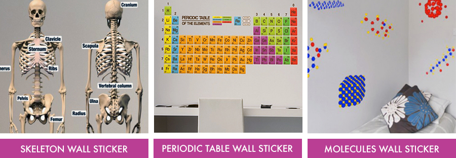 Science Wall Stickers from FADS.co.uk